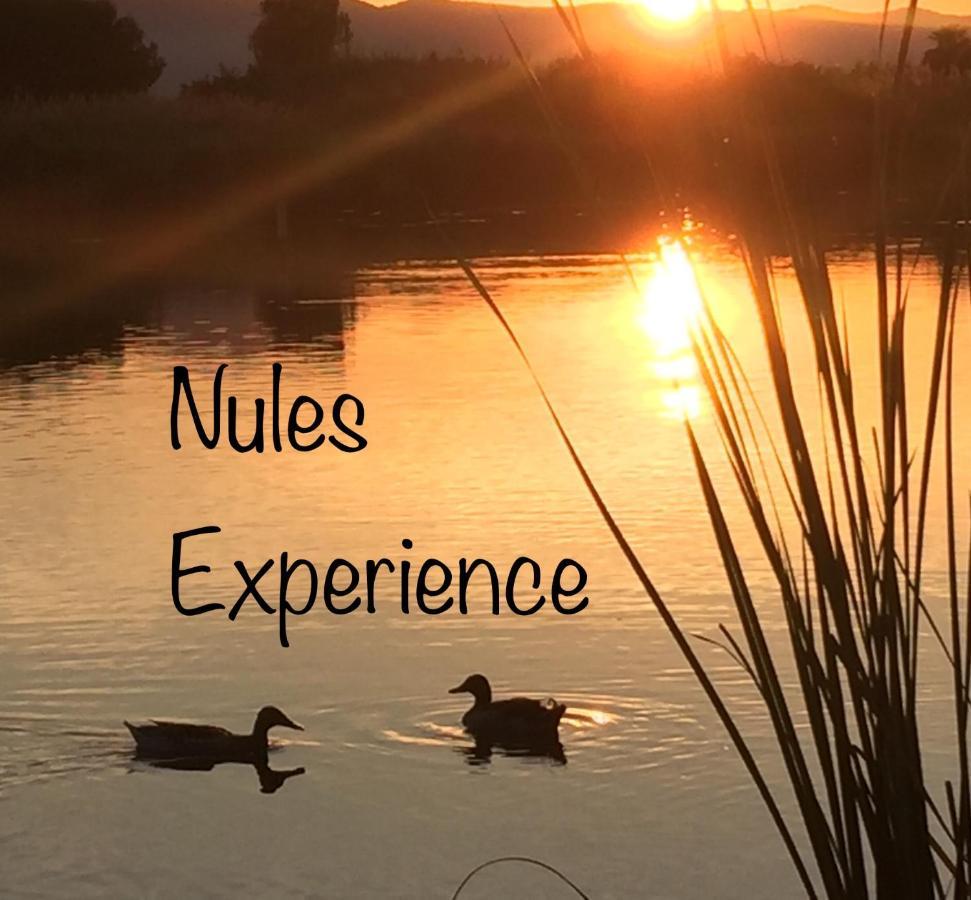 Apartamento Nules Experience Mascarell Exteriér fotografie